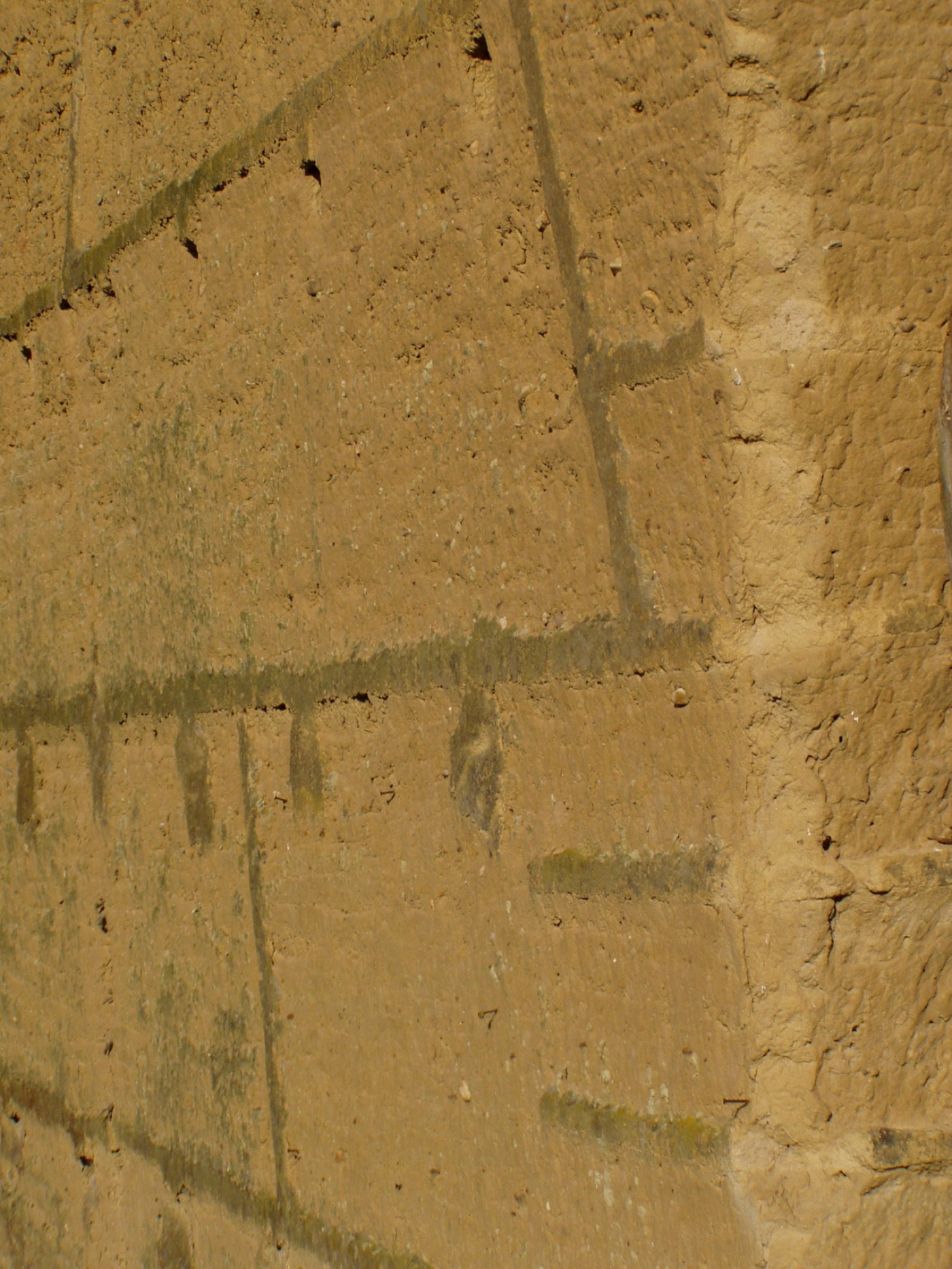 Stampflehmmauer (Mur en pisé) aus der Saône-Tal-Region, Frankreich – repräsentatives Beispiel für traditionelle französische Erdbau-Handwerk, mit dem ARESO arbeitet