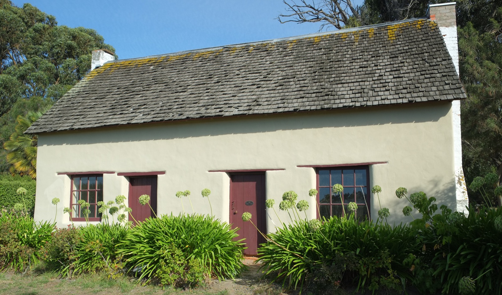Historisches Lehmbau-Cottage (Cob) bei Blenheim, Neuseeland: cremefarbene, verputzte Stampflehm-/Cob-Wände mit dunkelroten Türen und Fensterrahmen unter einem Holzschindeldach, davor blühende Agapanthus-Stauden. Repräsentatives Beispiel neuseeländischen Lehmbau-Erbes aus den 1860er-Jahren.