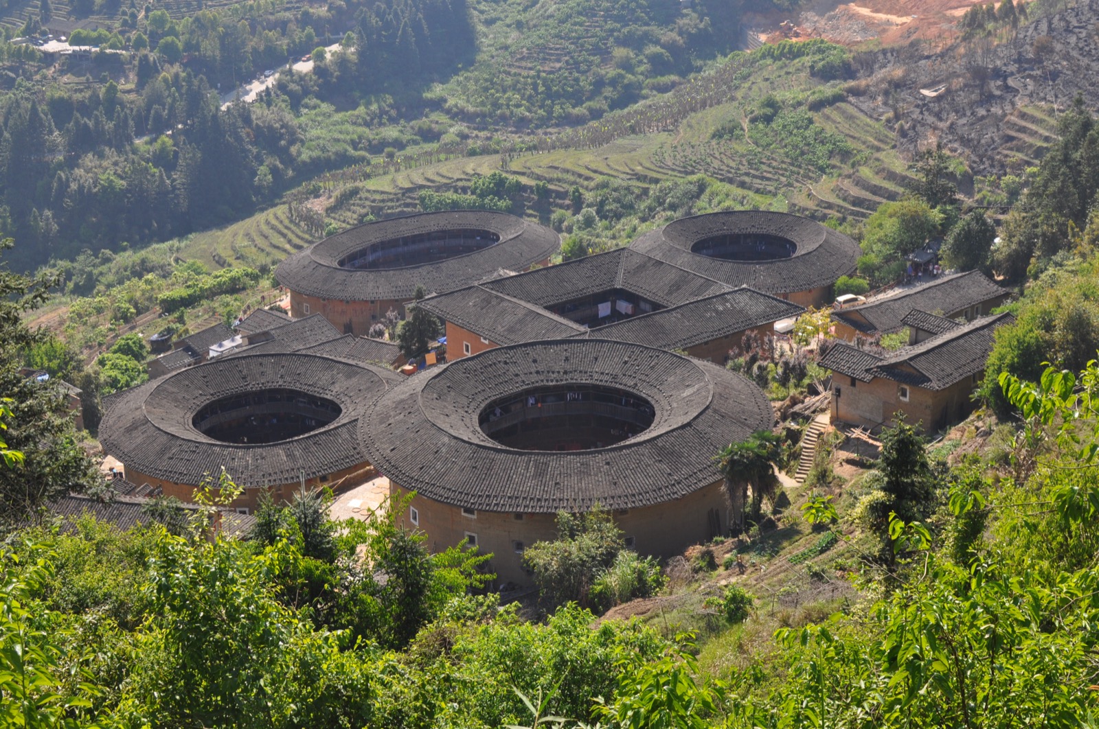 Der Tianluokeng-Tulou-Cluster in Fujian, China: mehrere runde, ovale und quadratische Wohnburgen aus Stampflehm mit dicken Lehmwänden und dunklen Ziegeldaechern, eingebettet in eine grüne Berglandschaft.