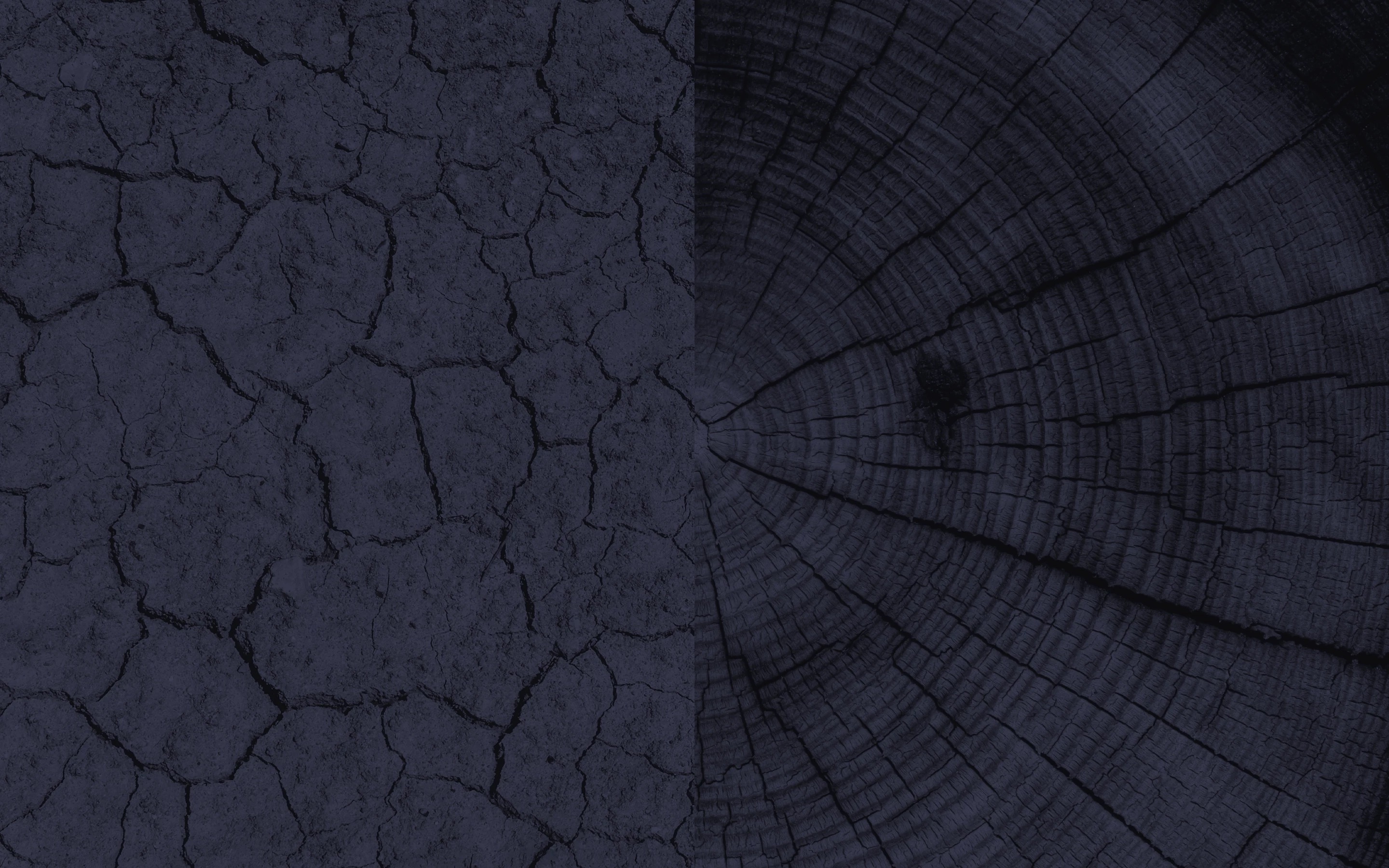 Rematter — Robotische Holz-Lehm-Decken