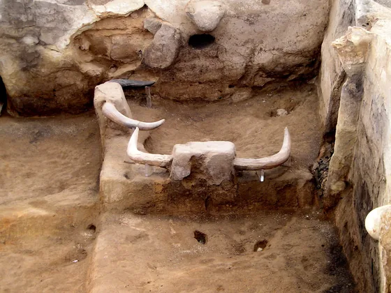 Freigelegte Lehmwände der Ausgrabung von Çatalhöyük mit rekonstruiertem Stierschädel-Relief